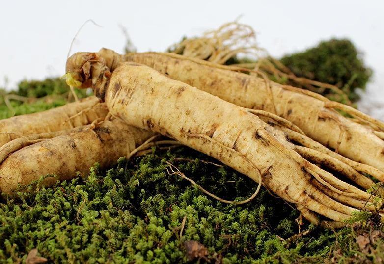 S83e9c863e2934a849a3c786bf4537130o